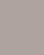 Little Greene Wandfarbe Tester Perennial Grey 245 Taupe Grau Farbmuster