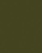 Little Greene Wandfarbe Tester Olive Colour 72 Farbmuster Grün