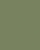 Little Greene Wandfarbe Tester Sage Green 80 Farbmuster Wandfarbe Grün Hell
