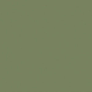 Little Greene Wandfarbe Tester Sage Green 80 Farbmuster Wandfarbe Grün Hell