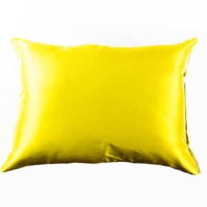 Designers Guild Kissen Valbonella Alchemilla Gelb Seide
