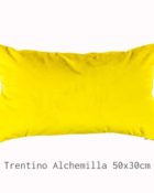 Designers Guild Kissen Trentino Alchemilla Gelb Dekokissen Rechteck Gelb Senfgelb